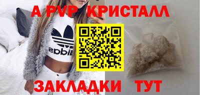 твердый Гусев