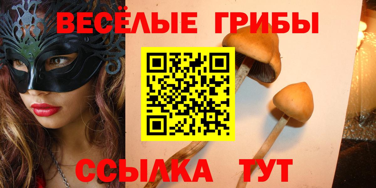 Галлюциногенные грибы прущие грибы  Вход с VPN  Медногорск 